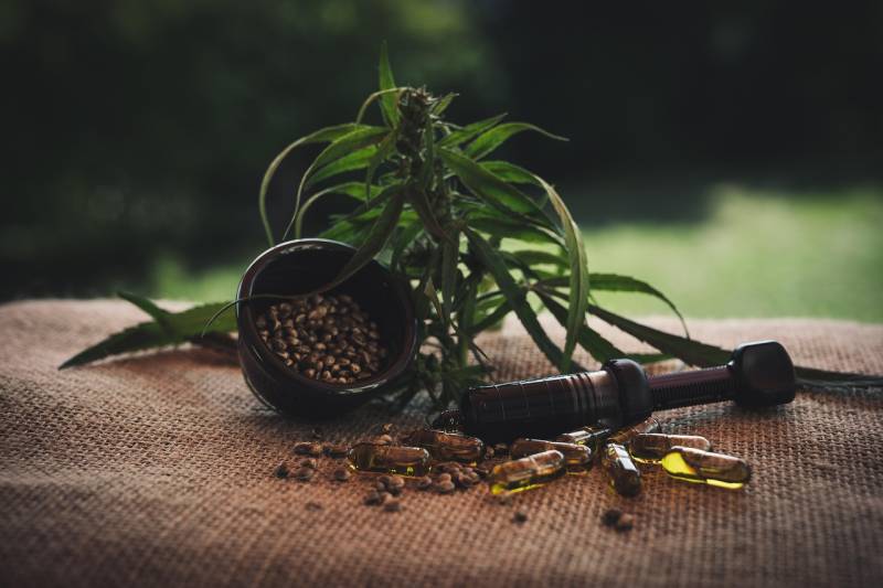 CBD Is A Great Substitute For Encouraging Wellness