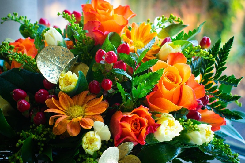 Amazing Birthday for your Elder Siblings This Year