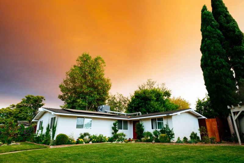 Maintain an Amazing Garden and Yard with the Best Tree Care Services