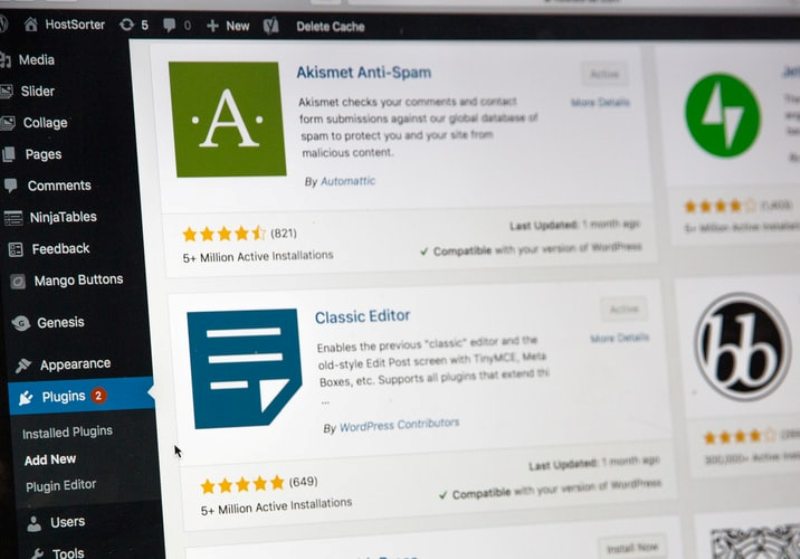 How To Choose A Wordpress Theme Read Here